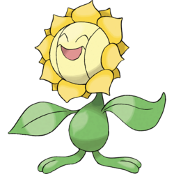 Sunflora