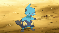 Burgundy's Dewott