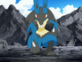 Riley's Lucario training to become an Aura Guardian