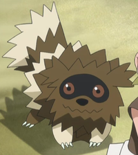 Sycamore Zigzagoon.png