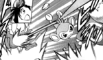 Aibo Aipom Double Hit.png