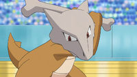 Halverson's Marowak