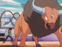 Fernando's Tauros