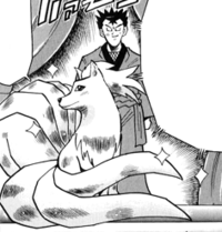 Koga's Ninetales