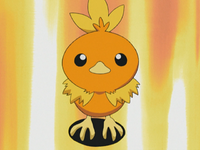 Professor Birch's Torchic