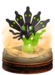 Zygarde