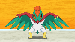 Bea Hawlucha.png