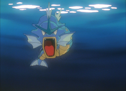 Kanto Route 1 Gyarados.png