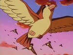 Ash Pidgeot released.png