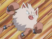 Butch's Primeape