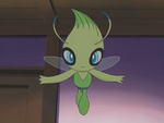 Marion Town Celebi.png