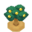 QualotTreeBerryVI XY.png