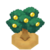 QualotTreeBerryVI XY.png