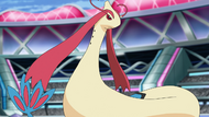 Cynthia Milotic.png