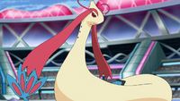 Cynthia's Milotic