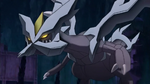 Kyurem M15.png