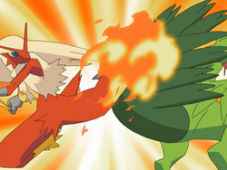 May Blaziken Blaze Kick.png