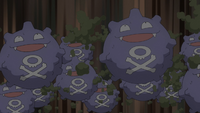 Project Mew's Koffing