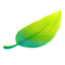 GO Pretty Leaf.png