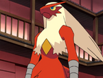 May Blaziken.png