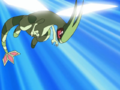 Flygon's miscolored tail