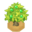 RabutaTreeBerryVI XY.png