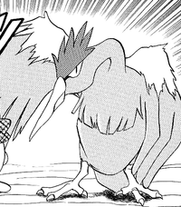 Ran's Fearow