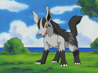 Samuel Nakaoka's Mightyena