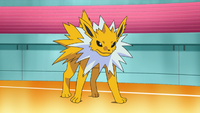 Volkner's Jolteon