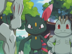 Harrison Sneasel debut.png