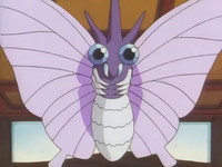 Koga's Venomoth