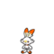 Scorbunny