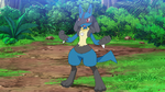 Ash Lucario.png