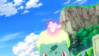 Shauna Bulbasaur Petal Dance.png