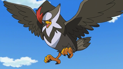 Ash Staraptor.png