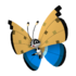 Vivillon