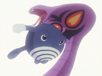 Misty Poliwhirl Headbutt.png