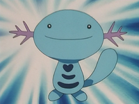 Wooper