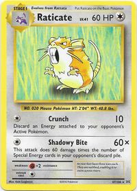 RaticateEvolutions67.jpg