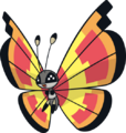 Sun Vivillon