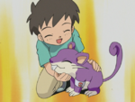 Pokémon Trainer School Rattata.png