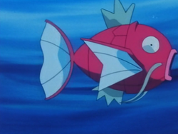 Remoraid Mountain Magikarp.png