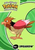 Spearow