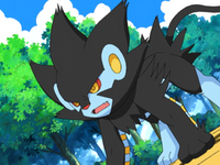 Marble's Luxray