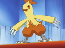 May Combusken.png