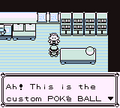 "Ah! This is the custom POKé BALL I ordered! Thank you!"