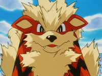 Pete Pebbleman's Arcanine