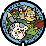 Poké Lid 210 Higashiōsaka.png