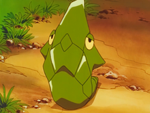 Ash Metapod.png