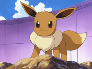 May Eevee.png